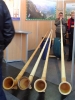 Landeskonzertwertung_11_46