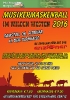 Musikermaskenball_1